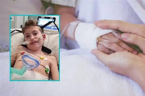 Болезнь лишила его возможности ходить и улыбаться. 8-летний мальчик чудом выжил