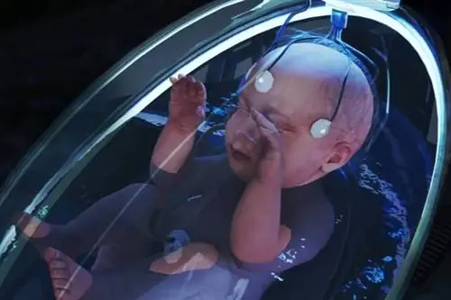 Страшный фильм открывает дискуссию. Будет ли это беременность будущего?