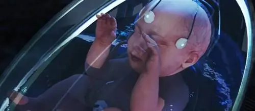 Страшное видео открывает обсуждение. Так ли будет выглядеть «беременность будущего»?