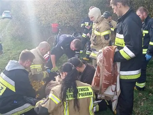 77-летний мужчина пролежал в лесу 5 дней без еды и питья. Его нашли пожарные