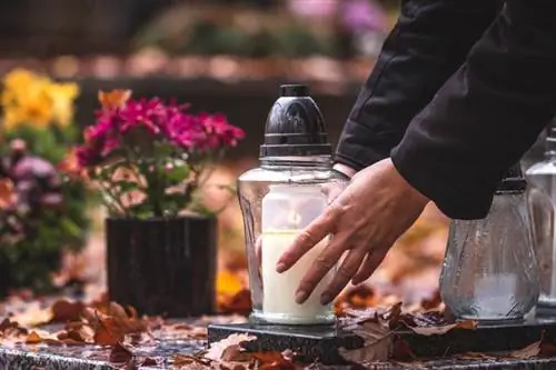 Мытье рук, маски, здравый смысл. проф. Анета Нич-Осуч о безопасности на кладбище