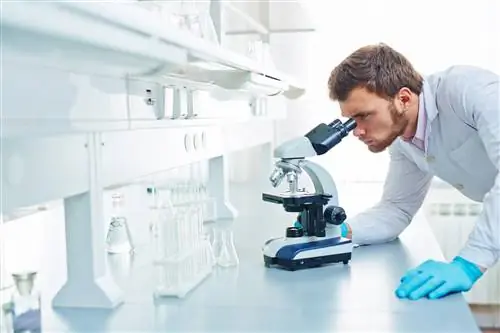 ПЦР (исследование) - заявка. Что такое метод ПЦР?