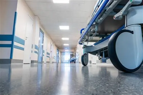 Пациентам из Познани навсегда отключили телевизор. Руководство объясняет