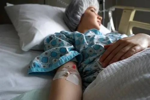 Она умерла, собирая яйца для лечения in vitro.