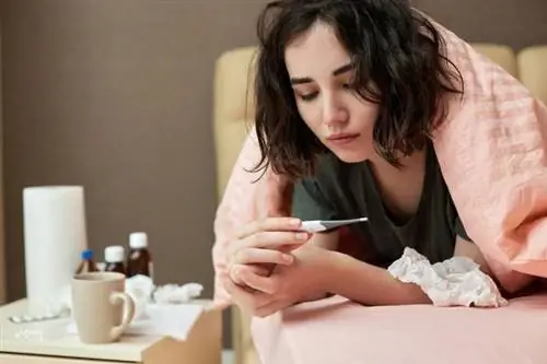 Врач раскрыла свой рецепт иммунитета. Это простые и эффективные советы