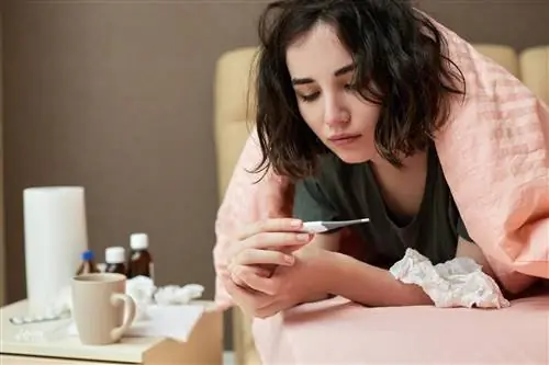 Доктор раскрыла свой рецепт иммунитета. Это простые и эффективные советы