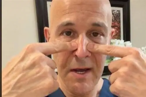 Простой трюк, чтобы прочистить нос, покоряет TikTok. Доктор показывает, как это сделать