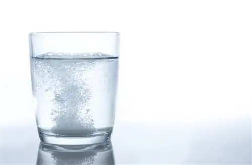 Лайм для повышения чувствительности (аллергии)? Свойства и применение извести