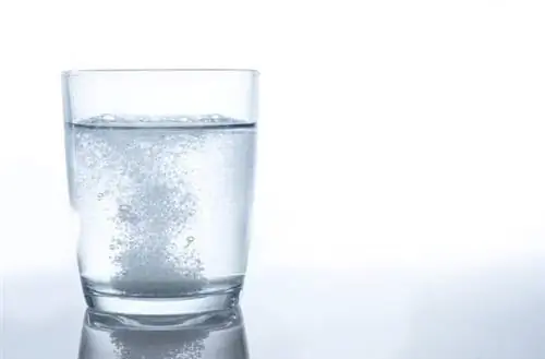 ЛАЙМ от аллергии? Свойства и применение извести