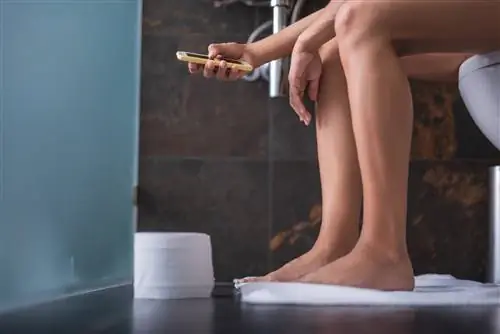 Вы чаще бегаете в туалет на «двойку»? Врач предупреждает: это может быть симптомом рака