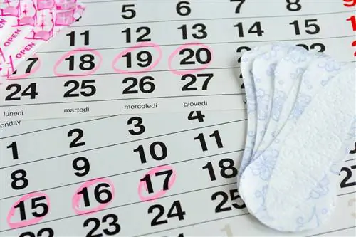 Как ускорить месячные?