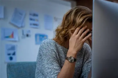 Переутомление действительно «отравляет мозг». Всего 6 часов работы