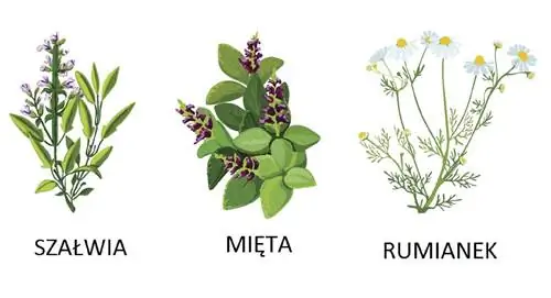 Психоактивные травы и последствия их курения