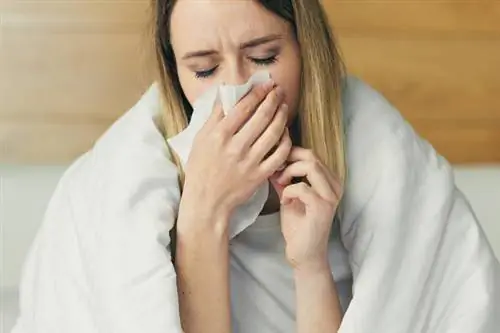 4 признака того, что ваша иммунная система не работает должным образом. Пришло время позаботиться о нем