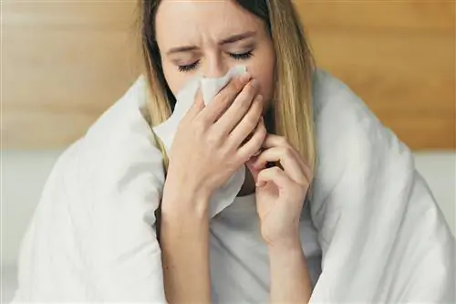 4 признака того, что ваша иммунная система не работает должным образом. Пришло время позаботиться о нем