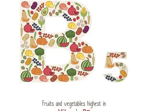 Витамин В5 (пантотеновая кислота) - свойства и встречаемость