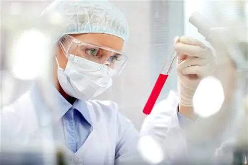 Прокальцитонин (ПКТ) - стандарты и результаты анализов