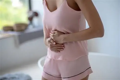 Вы страдаете от газов, вздутия живота и отрыжки? Что исследовать, если у вас есть симптомы плохого пищеварения