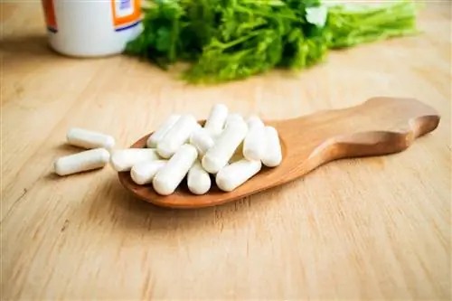 Витамин К - какова его функция в организме? Стоит ли его дополнять?