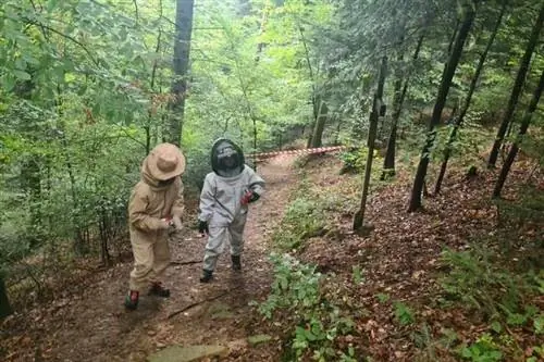 Нападение шершня на группу паломников Нападение шершня на группу паломников