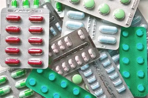 Красочные волдыри