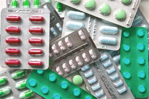 ГИС готовит революцию в пищевых добавках. Будет ли это пресекать неэтичные действия?