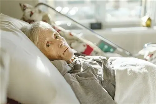 Они болеют раком, но умирают по другой причине. Это касается каждого пятого пациента