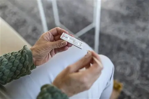 «Мы выявляем 10% заражений». За месяц был продан миллион тестов на COVID-19