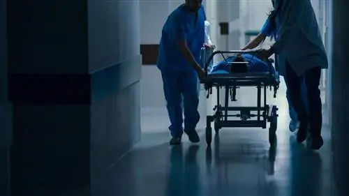 Три человека умерли от загадочной пневмонии. COVID-19 исключили как причину смерти