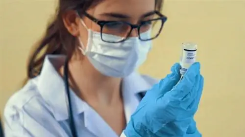 Вакцинация против COVID-19