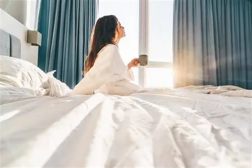 От сони до жаворонков. 6 советов, которые помогут вам проснуться утром полным сил