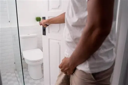 Признаки этого рака легко заметить. Вы увидите их в своей моче