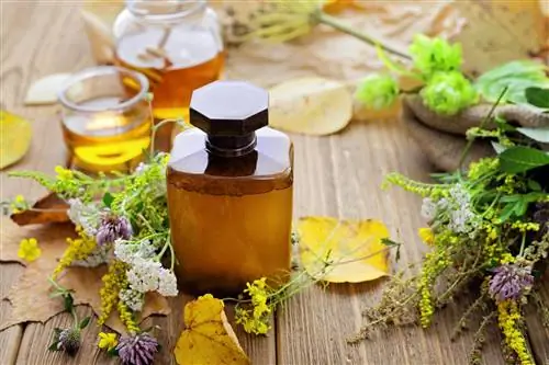 Укрепляющий сироп из чеснока, куркумы, лимона и меда. Свойства и рецепт