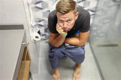 Клизма не только при запорах и спазмах кишечника. Когда и с какой целью делают клизму?