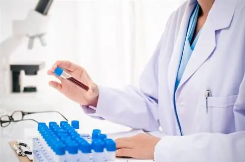 протеинограмма