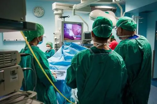 Рукавная (манжетная) резекция желудка: преимущества и недостатки. Курс бариатрической хирургии - видео