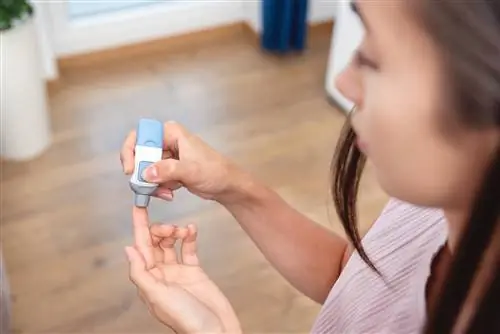 Перестанет ли диабет быть проблемой? Революционная молекула может производить новые клетки поджелудочной железы