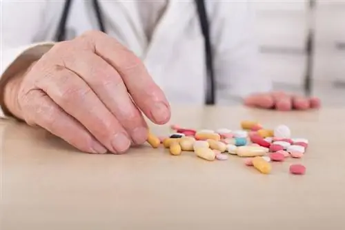 полипрагмазия