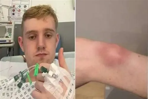 Джек Патток