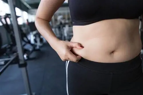 Как быстро и без вреда для здоровья сбросить несколько килограммов? 5 привычек, которые помогут вам избавиться от «бублика»