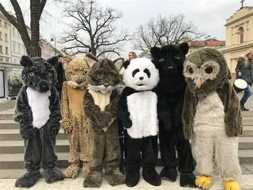 Талисманы WWF