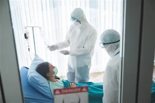 Столкнулись ли мы с эпидемией обезьяньей оспы и карантином? Врач объясняет, есть ли нам чего бояться