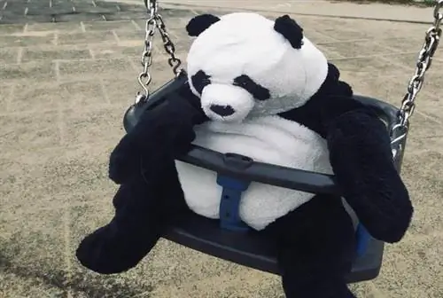 Медвежонок панда приятный