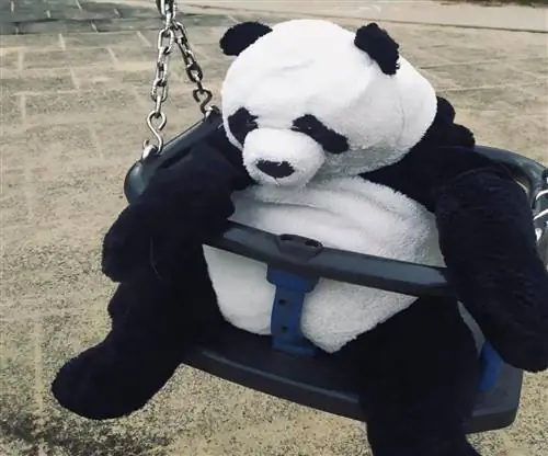 История Стаси с Аспергером и его пандами стала хитом в сети. Все благодаря бабушкиной идее