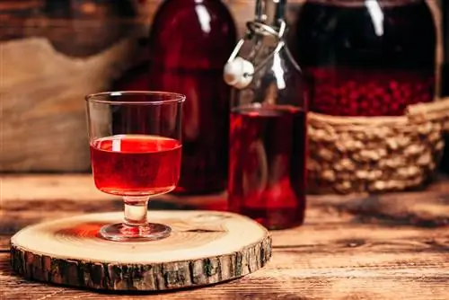 Как делают лечебные настойки? Рецепты лечебных настоек