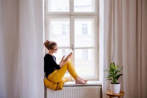 женщина читает книгу женщина читает книгу