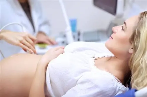 Консультация гинеколога - акушера Консультация гинеколога - акушера