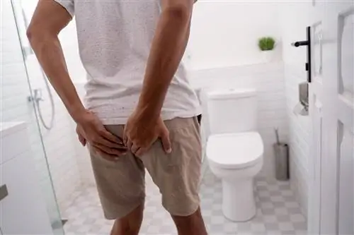 Домашние средства от геморроя - 6 эффективных способов