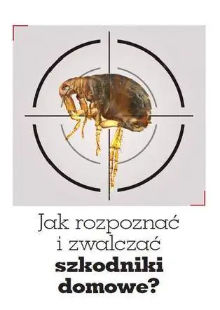 Черви в доме - как распознать домашних вредителей и бороться с ними - электронный гид