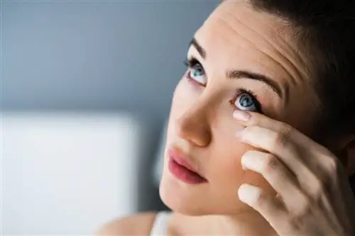 Конъюнктивит – виды, симптомы и лечение